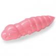Pupa 1.5